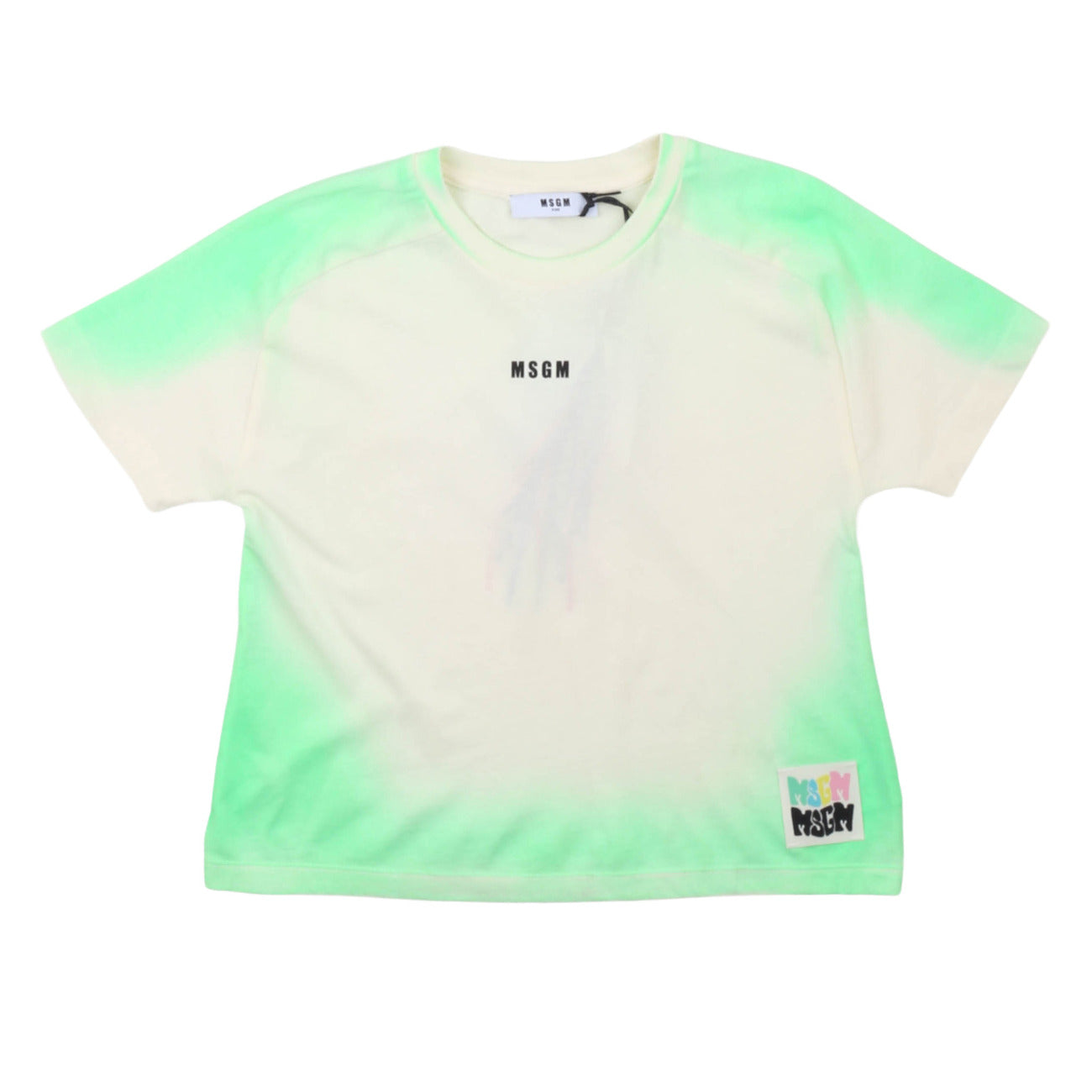 msgm - JERSEY AIRBRUSHED T-SHIRT GIRL IRISH GRE