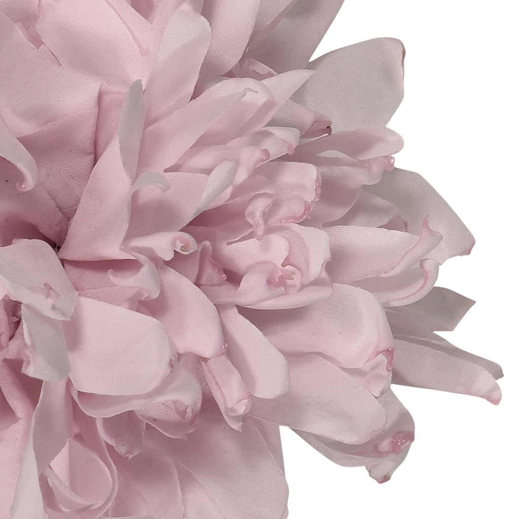 fun & fun - FIORE SPILLA