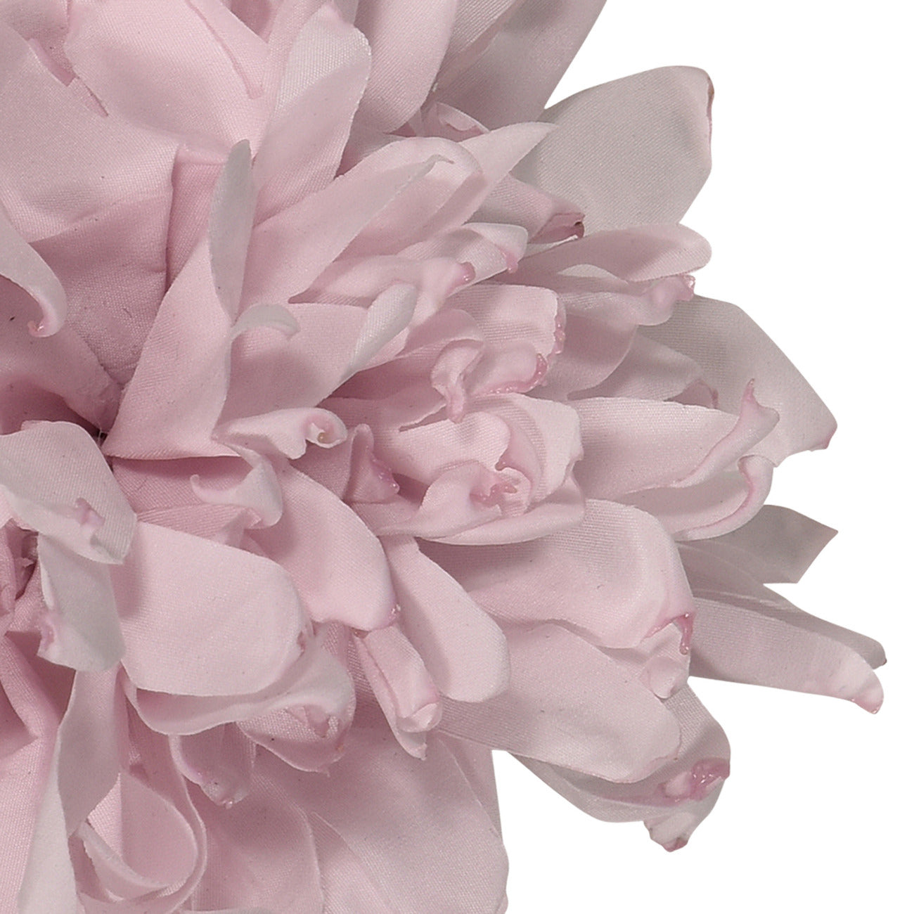 fun & fun - FIORE SPILLA