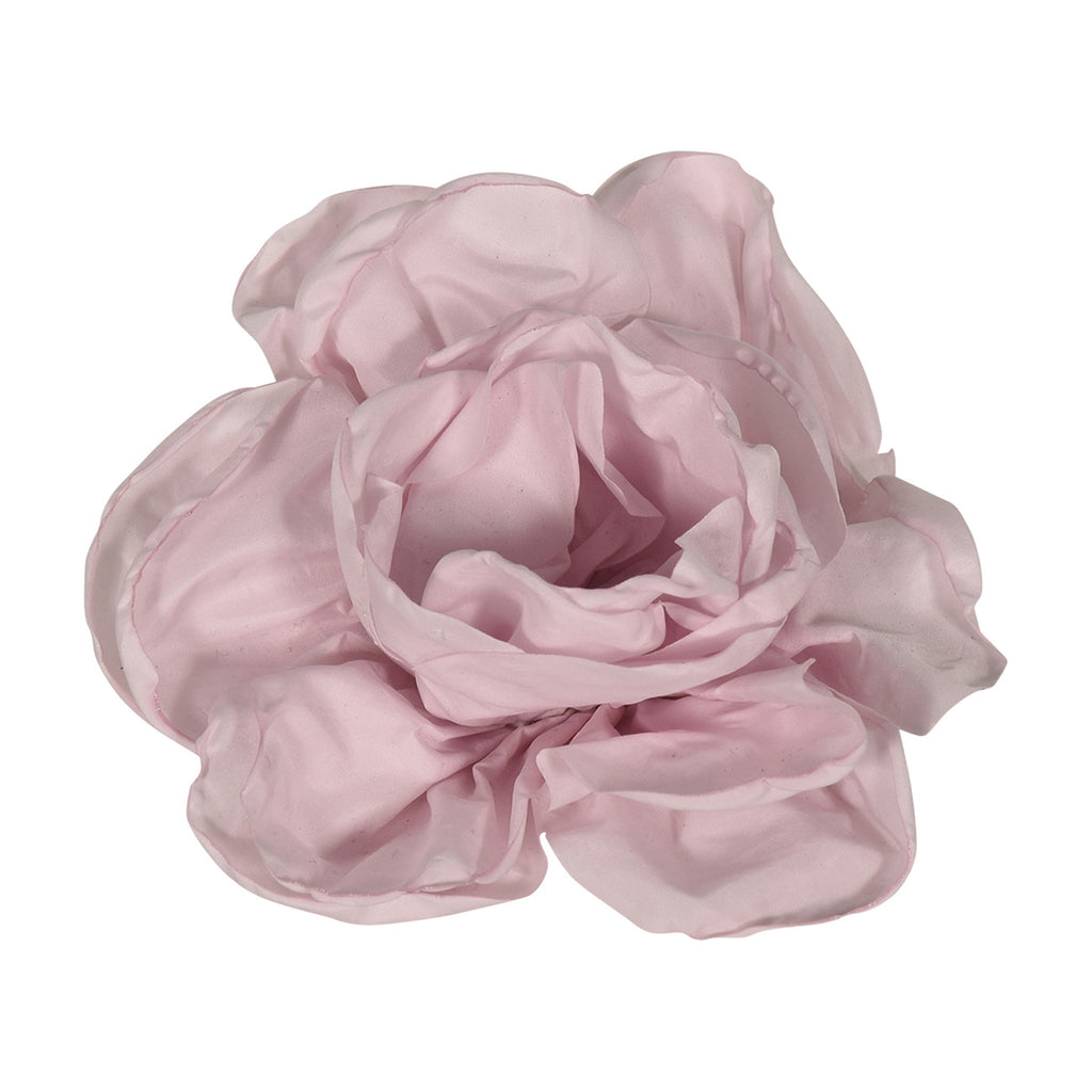 fun & fun - FIORE SPILLA