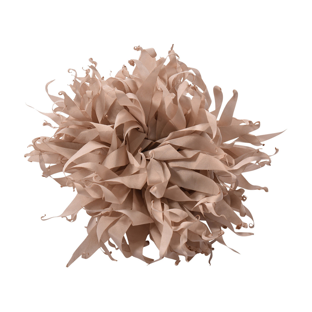 fun & fun - FIORE SPILLA