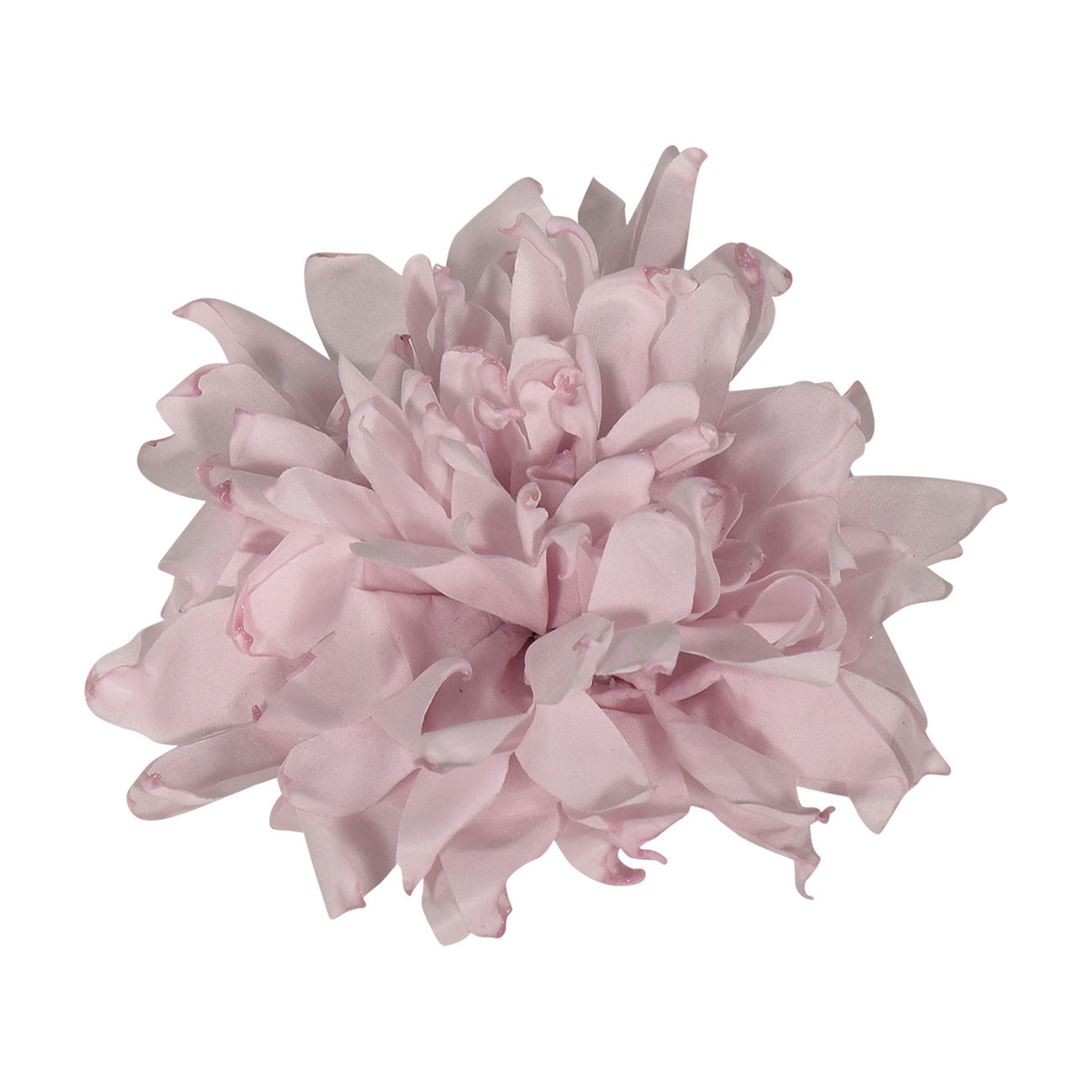 fun & fun - FIORE SPILLA