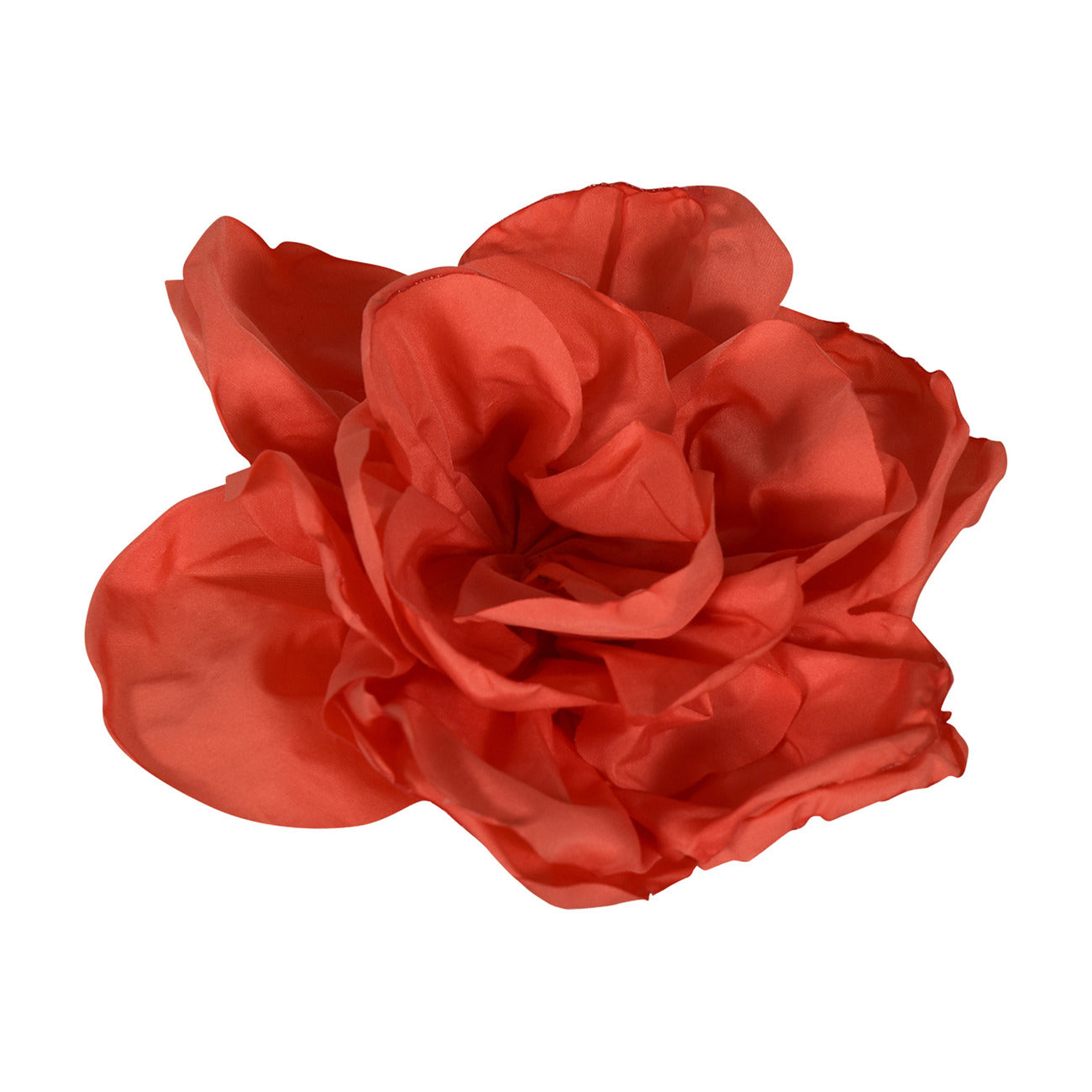 fun & fun - FIORE SPILLA